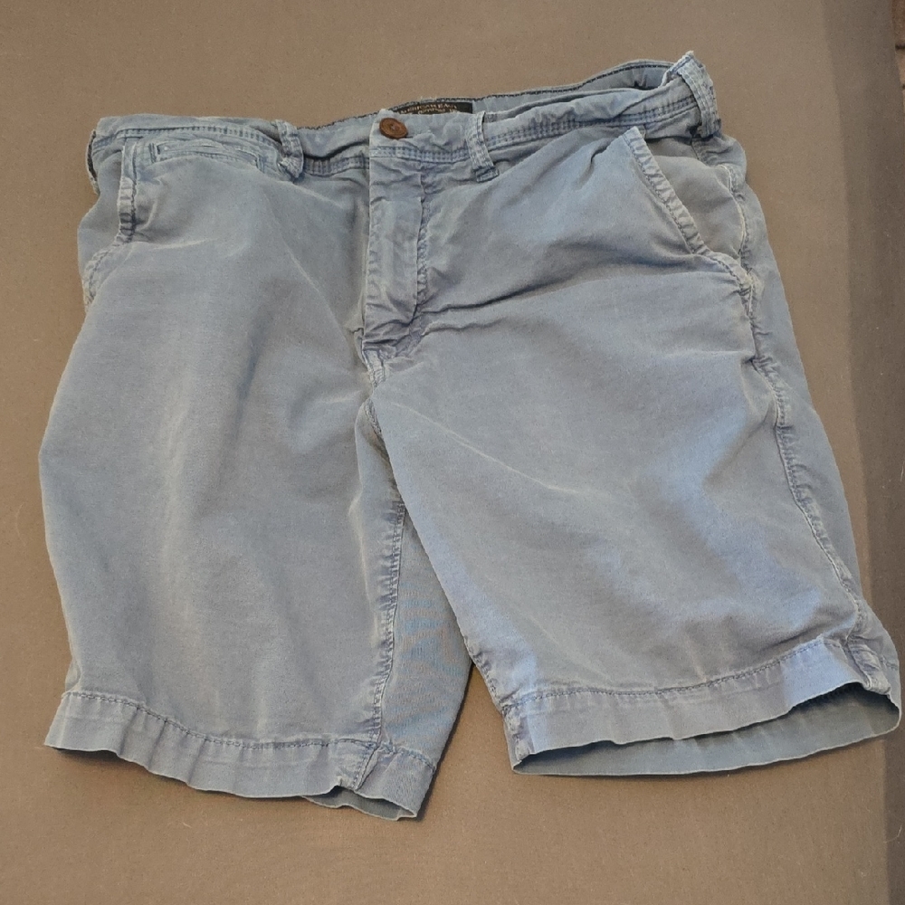 American Eagle Outfitters Men's Light Blue Flat Front Shorts